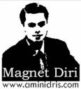 magnet3.jpg