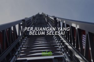 Recommended